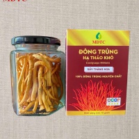 Đông trùng hạ thảo: Lợi ích, phân loại và đặc tính dược liệu quý